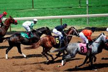Betting on horse races